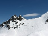 59 Pesciolino del favonio